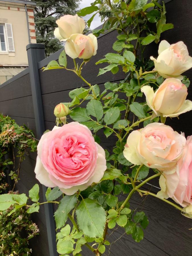 La Renardiere Bourges Eksteriør bilde